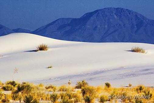 White Sands_32221.jpg - Photographed at the White Sands National Monument near Alamogordo, New Mexico, USA.